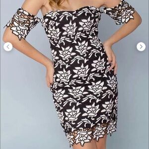 Just Me Lace Bardot Bodycon Dress Off the Shoulder